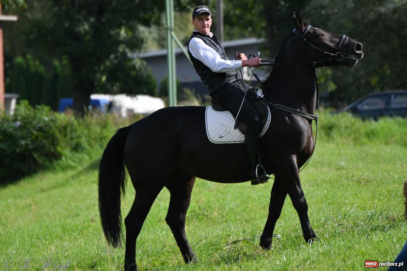 Zdjęcie w galerii na portalu naszraciborz.pl: Raciborski Hubertus 2021. Parada przez Ostróg i dwie gonitwy za lisem [FOTO i WIDEO] wiadomości z regionu