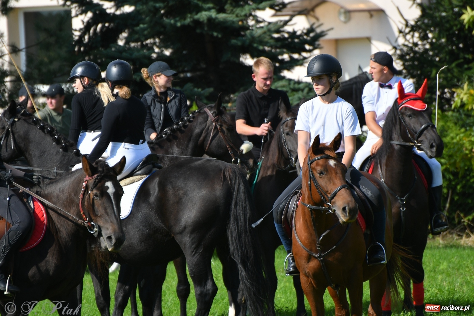 Zdjęcie w galerii na portalu naszraciborz.pl: Raciborski Hubertus 2021. Parada przez Ostróg i dwie gonitwy za lisem [FOTO i WIDEO] wiadomości z regionu