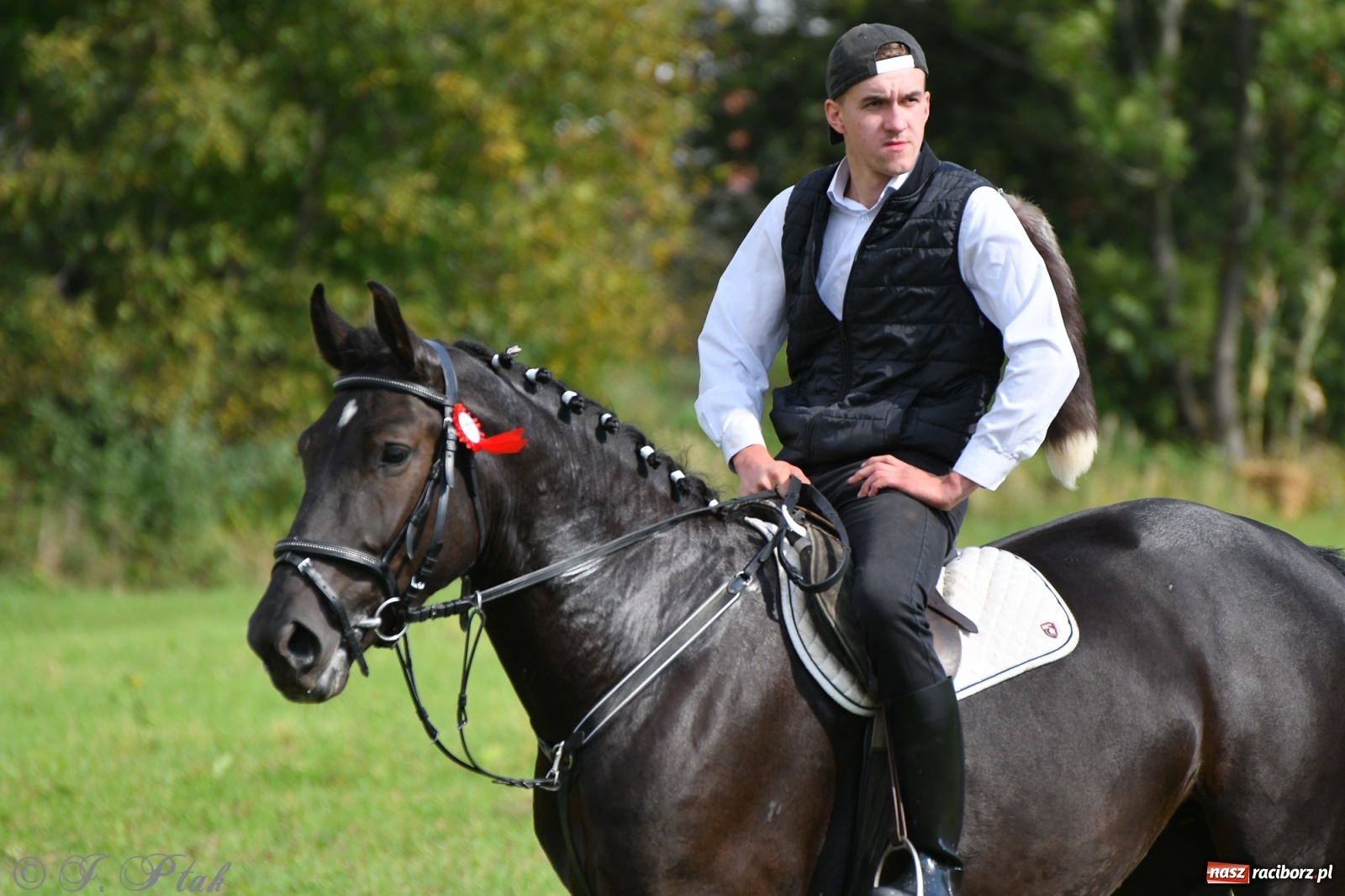 Zdjęcie w galerii na portalu naszraciborz.pl: Raciborski Hubertus 2021. Parada przez Ostróg i dwie gonitwy za lisem [FOTO i WIDEO] wiadomości z regionu