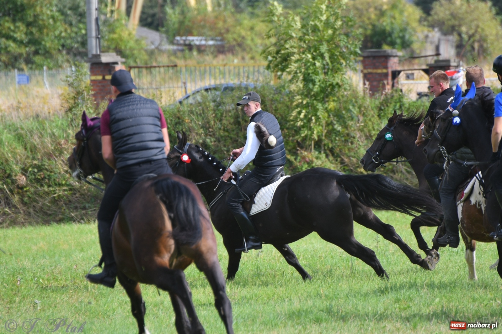 Zdjęcie w galerii na portalu naszraciborz.pl: Raciborski Hubertus 2021. Parada przez Ostróg i dwie gonitwy za lisem [FOTO i WIDEO] wiadomości z regionu
