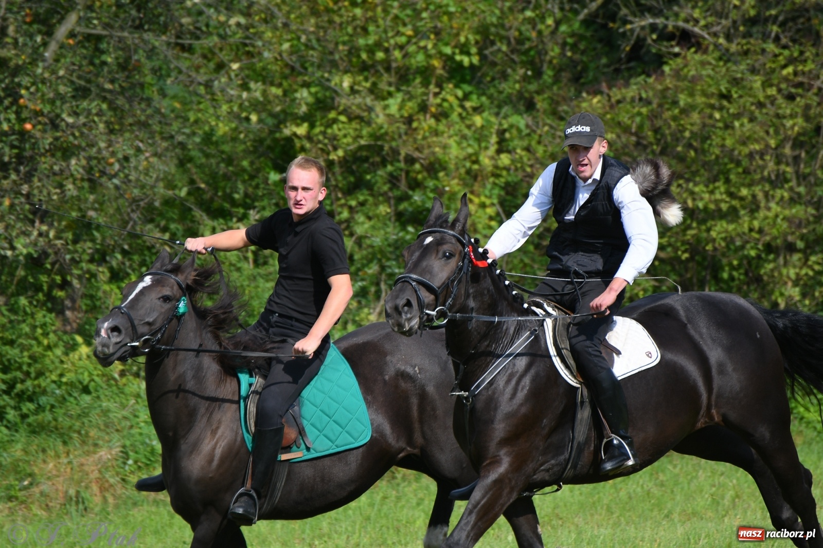Zdjęcie w galerii na portalu naszraciborz.pl: Raciborski Hubertus 2021. Parada przez Ostróg i dwie gonitwy za lisem [FOTO i WIDEO] wiadomości z regionu