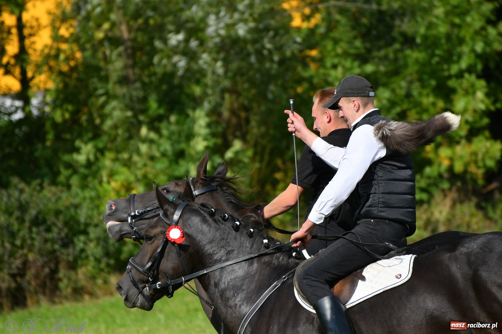 Zdjęcie w galerii na portalu naszraciborz.pl: Raciborski Hubertus 2021. Parada przez Ostróg i dwie gonitwy za lisem [FOTO i WIDEO] wiadomości z regionu