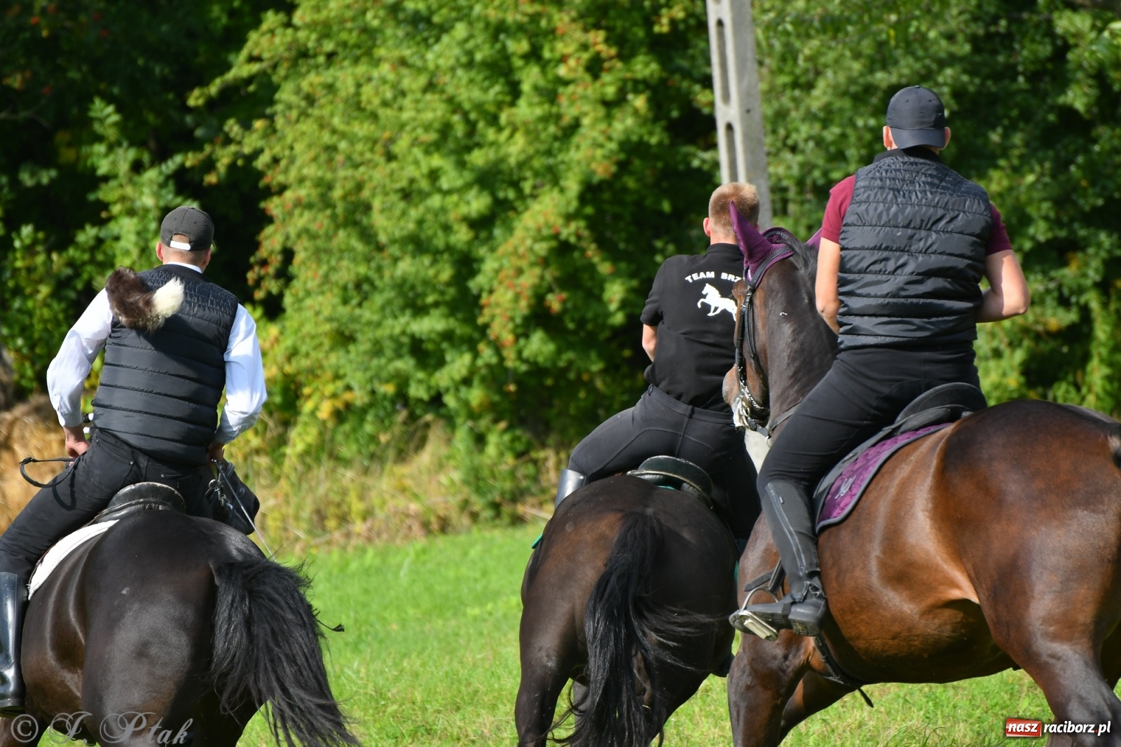 Zdjęcie w galerii na portalu naszraciborz.pl: Raciborski Hubertus 2021. Parada przez Ostróg i dwie gonitwy za lisem [FOTO i WIDEO] wiadomości z regionu