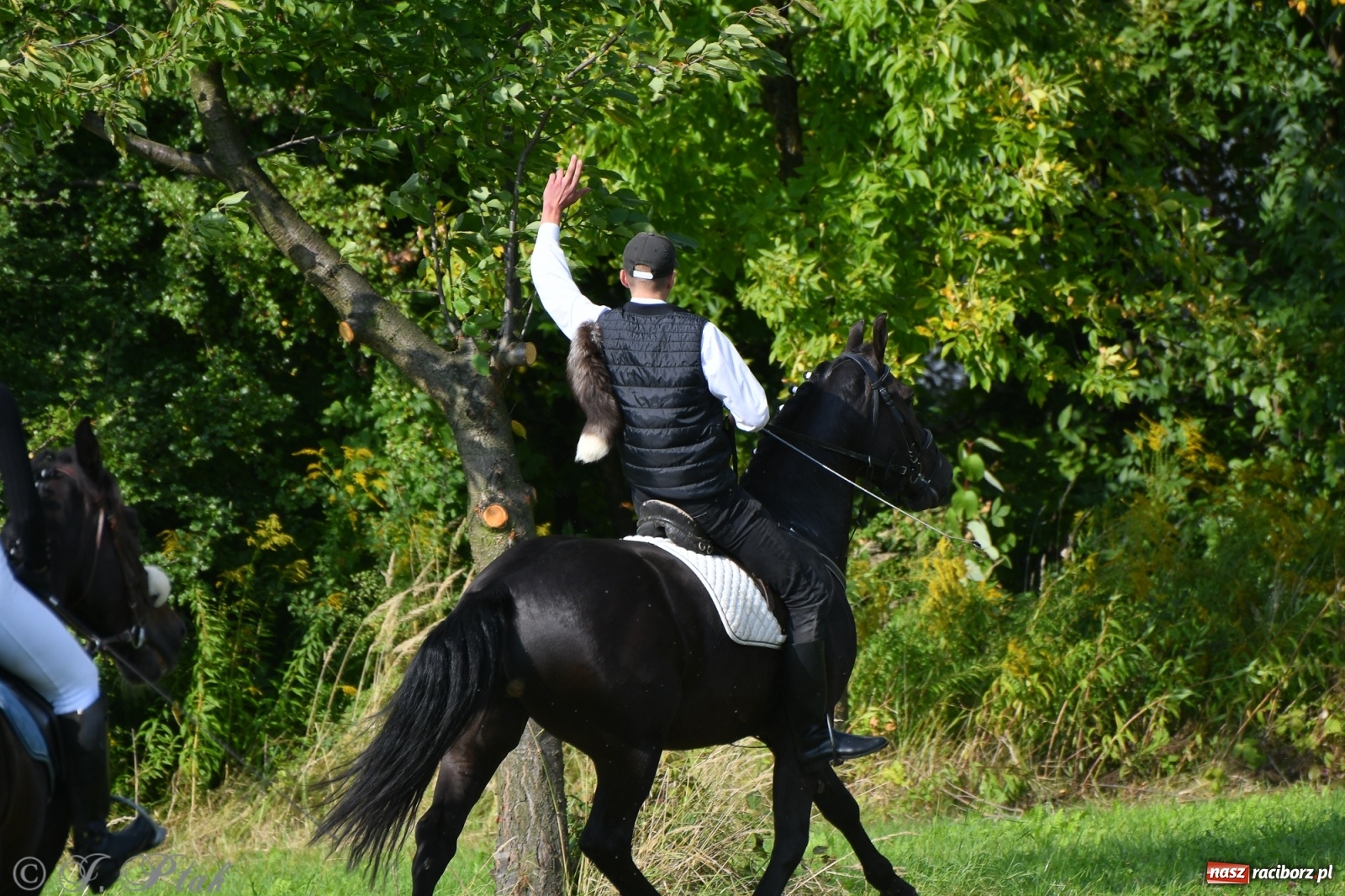 Zdjęcie w galerii na portalu naszraciborz.pl: Raciborski Hubertus 2021. Parada przez Ostróg i dwie gonitwy za lisem [FOTO i WIDEO] wiadomości z regionu