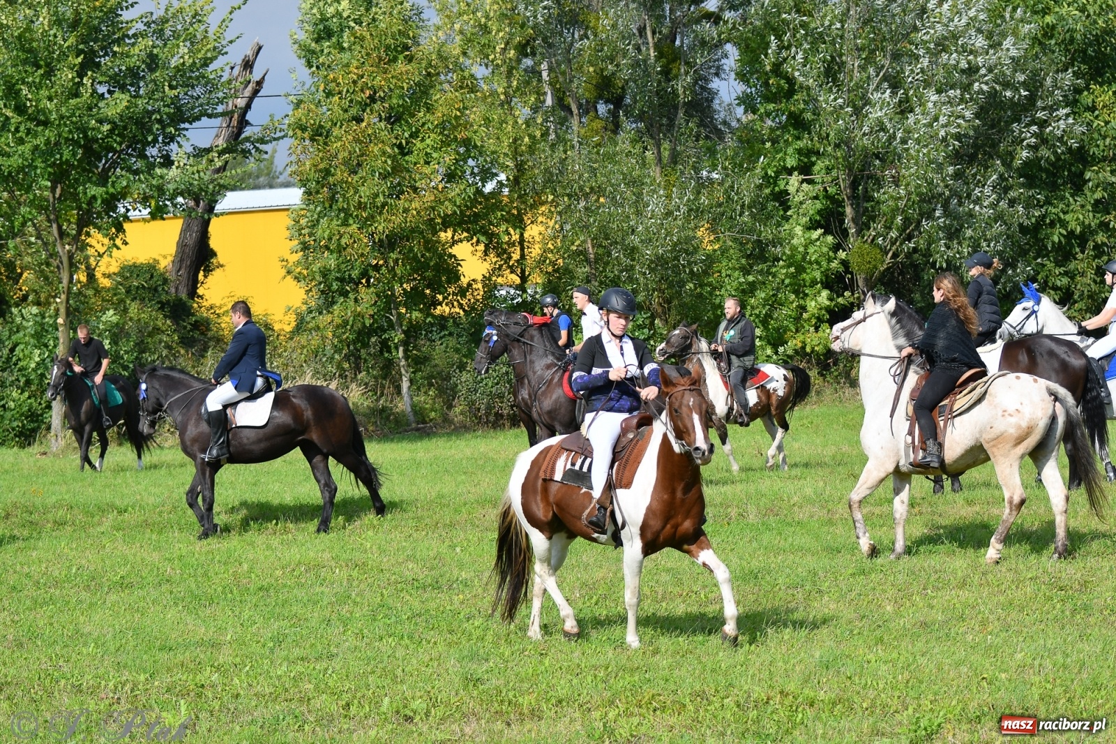 Zdjęcie w galerii na portalu naszraciborz.pl: Raciborski Hubertus 2021. Parada przez Ostróg i dwie gonitwy za lisem [FOTO i WIDEO] wiadomości z regionu
