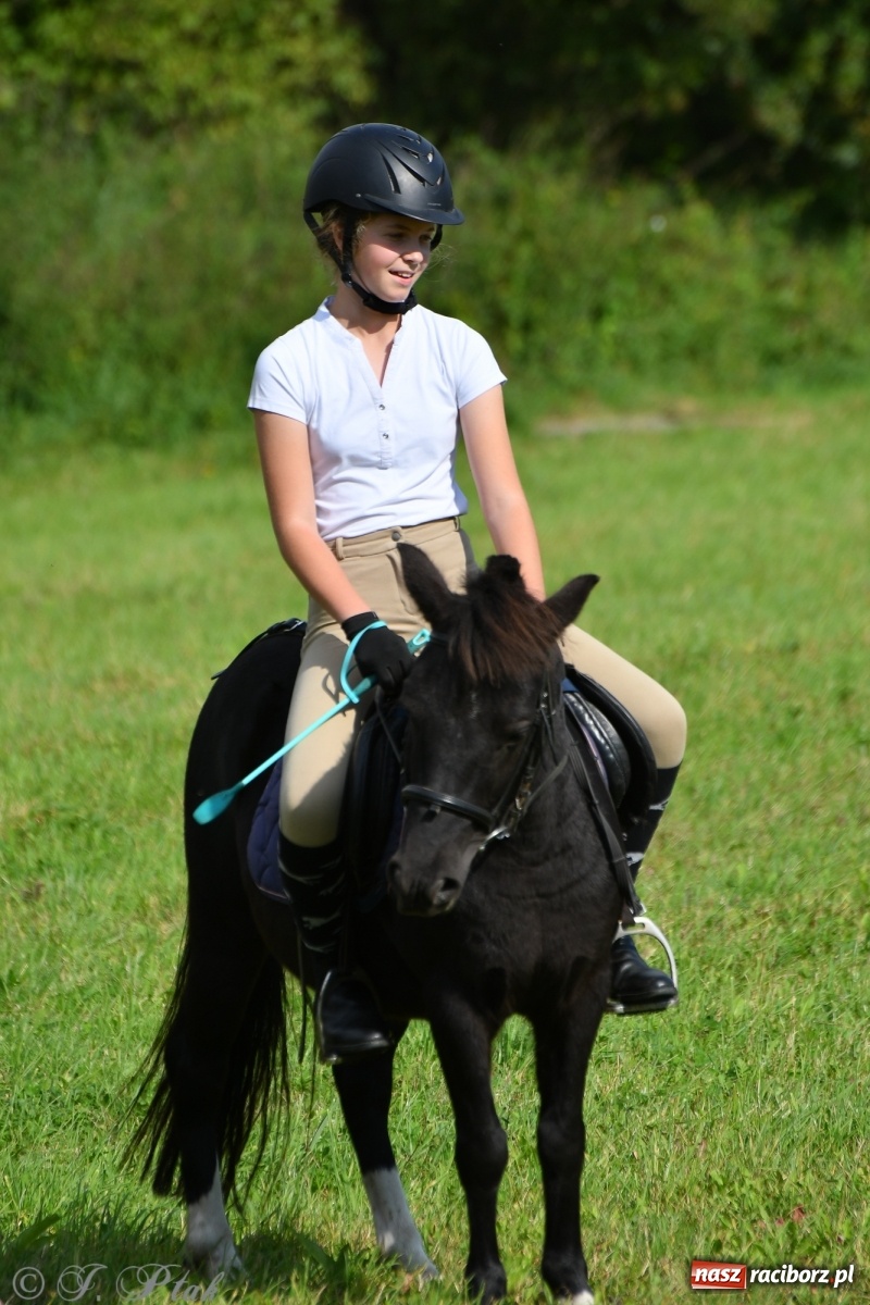 Zdjęcie w galerii na portalu naszraciborz.pl: Raciborski Hubertus 2021. Parada przez Ostróg i dwie gonitwy za lisem [FOTO i WIDEO] wiadomości z regionu