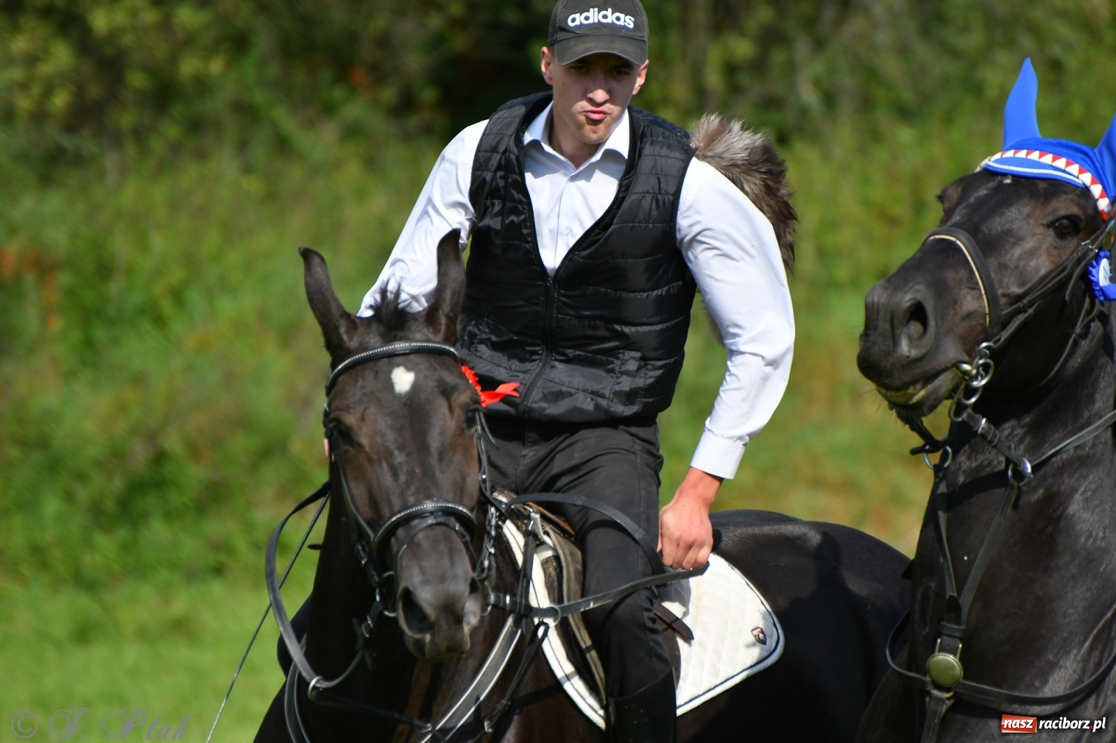 Zdjęcie w galerii na portalu naszraciborz.pl: Raciborski Hubertus 2021. Parada przez Ostróg i dwie gonitwy za lisem [FOTO i WIDEO] wiadomości z regionu