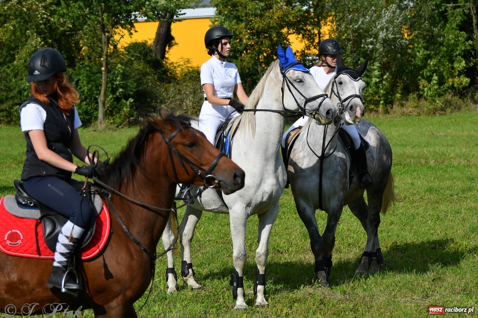 Zdjęcie w galerii na portalu naszraciborz.pl: Raciborski Hubertus 2021. Parada przez Ostróg i dwie gonitwy za lisem [FOTO i WIDEO] wiadomości z regionu