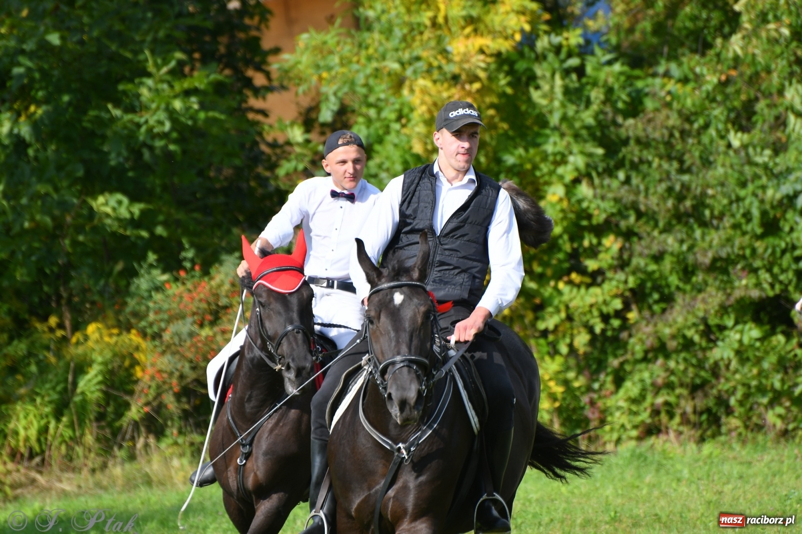 Zdjęcie w galerii na portalu naszraciborz.pl: Raciborski Hubertus 2021. Parada przez Ostróg i dwie gonitwy za lisem [FOTO i WIDEO] wiadomości z regionu