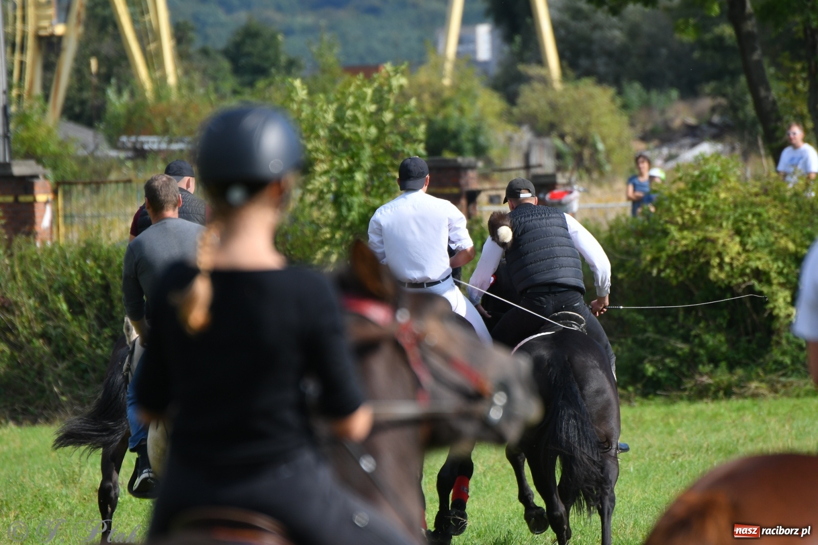 Zdjęcie w galerii na portalu naszraciborz.pl: Raciborski Hubertus 2021. Parada przez Ostróg i dwie gonitwy za lisem [FOTO i WIDEO] wiadomości z regionu