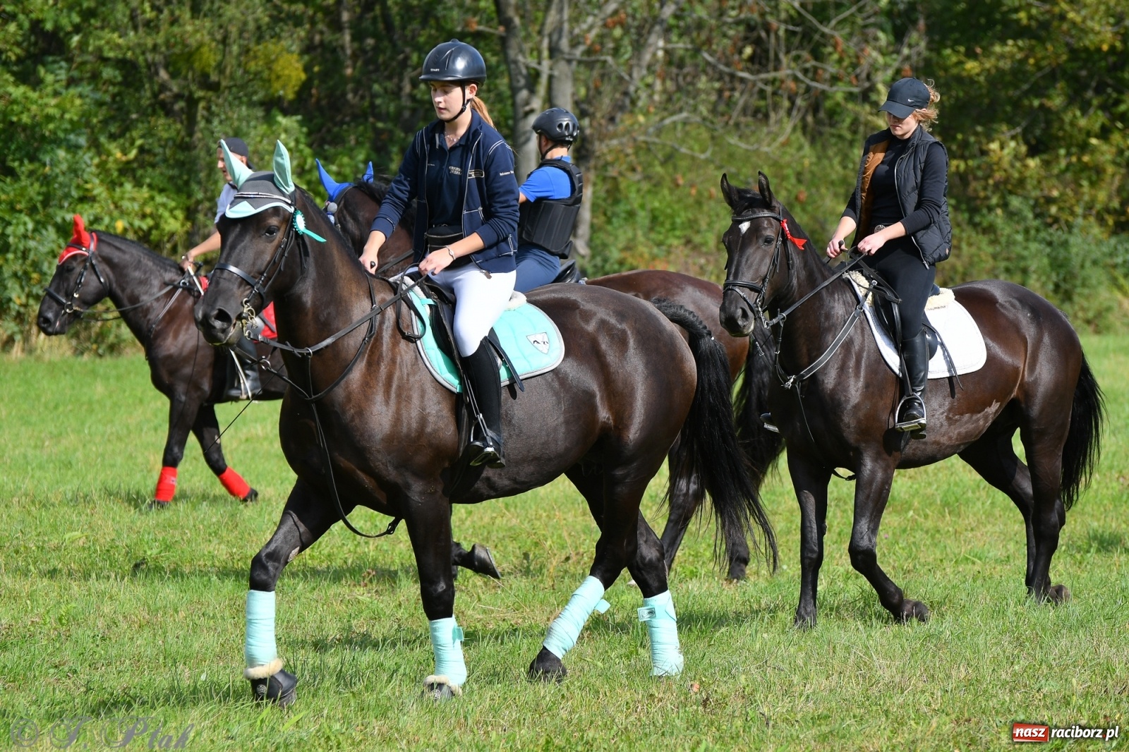 Zdjęcie w galerii na portalu naszraciborz.pl: Raciborski Hubertus 2021. Parada przez Ostróg i dwie gonitwy za lisem [FOTO i WIDEO] wiadomości z regionu