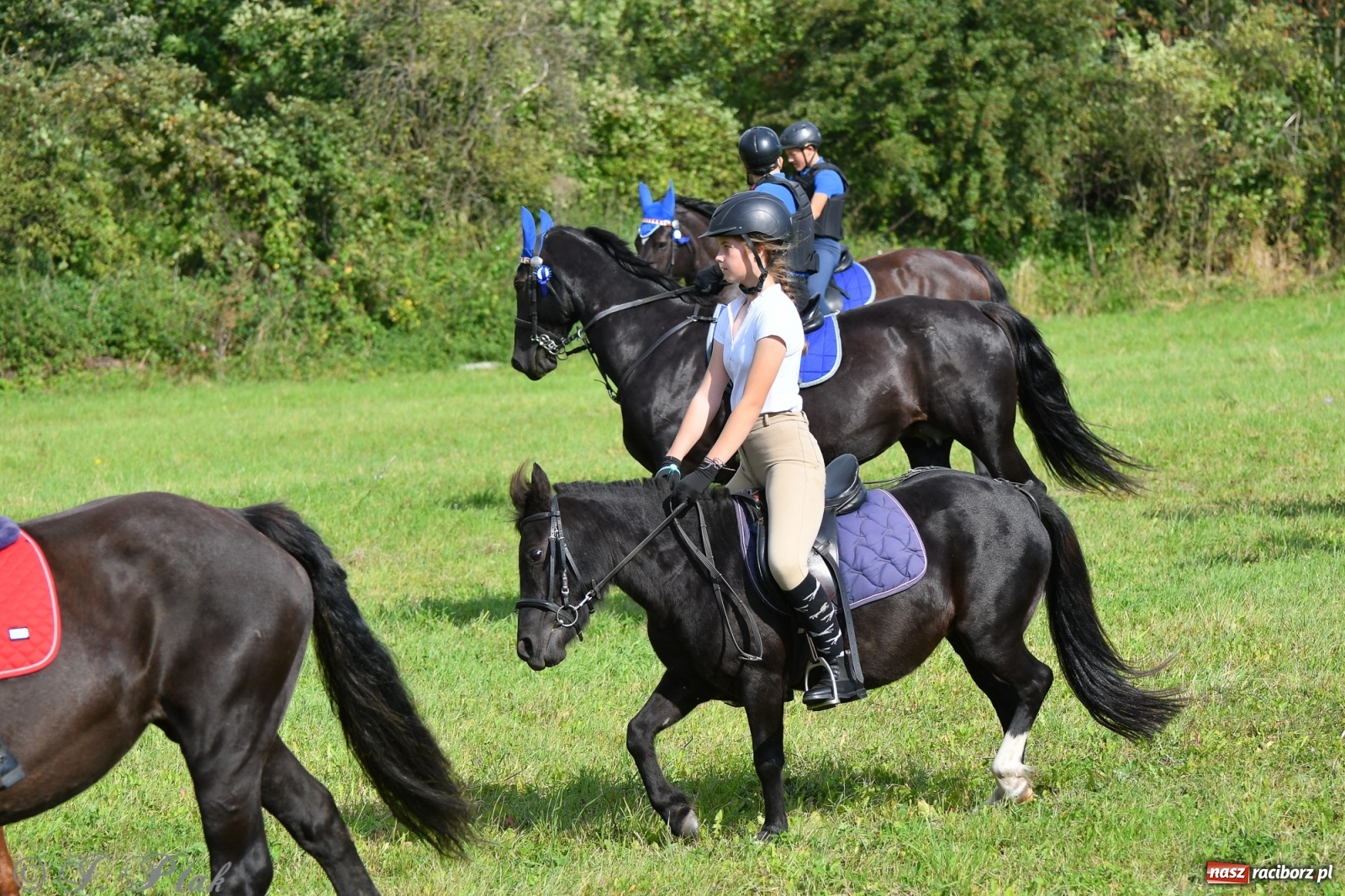 Zdjęcie w galerii na portalu naszraciborz.pl: Raciborski Hubertus 2021. Parada przez Ostróg i dwie gonitwy za lisem [FOTO i WIDEO] wiadomości z regionu