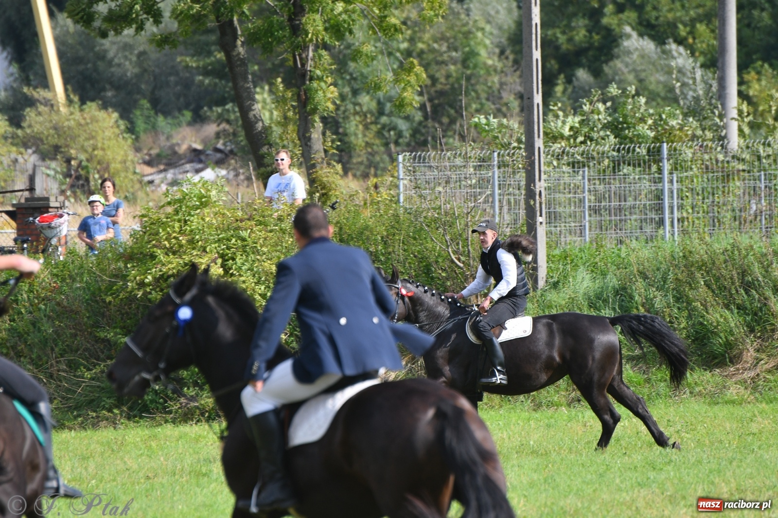 Zdjęcie w galerii na portalu naszraciborz.pl: Raciborski Hubertus 2021. Parada przez Ostróg i dwie gonitwy za lisem [FOTO i WIDEO] wiadomości z regionu