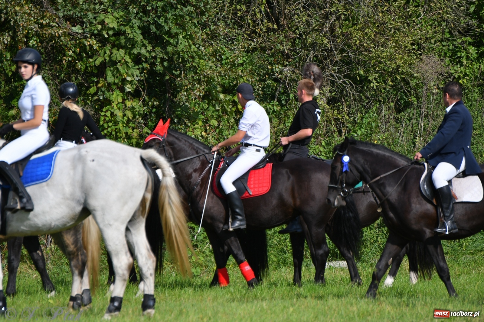 Zdjęcie w galerii na portalu naszraciborz.pl: Raciborski Hubertus 2021. Parada przez Ostróg i dwie gonitwy za lisem [FOTO i WIDEO] wiadomości z regionu