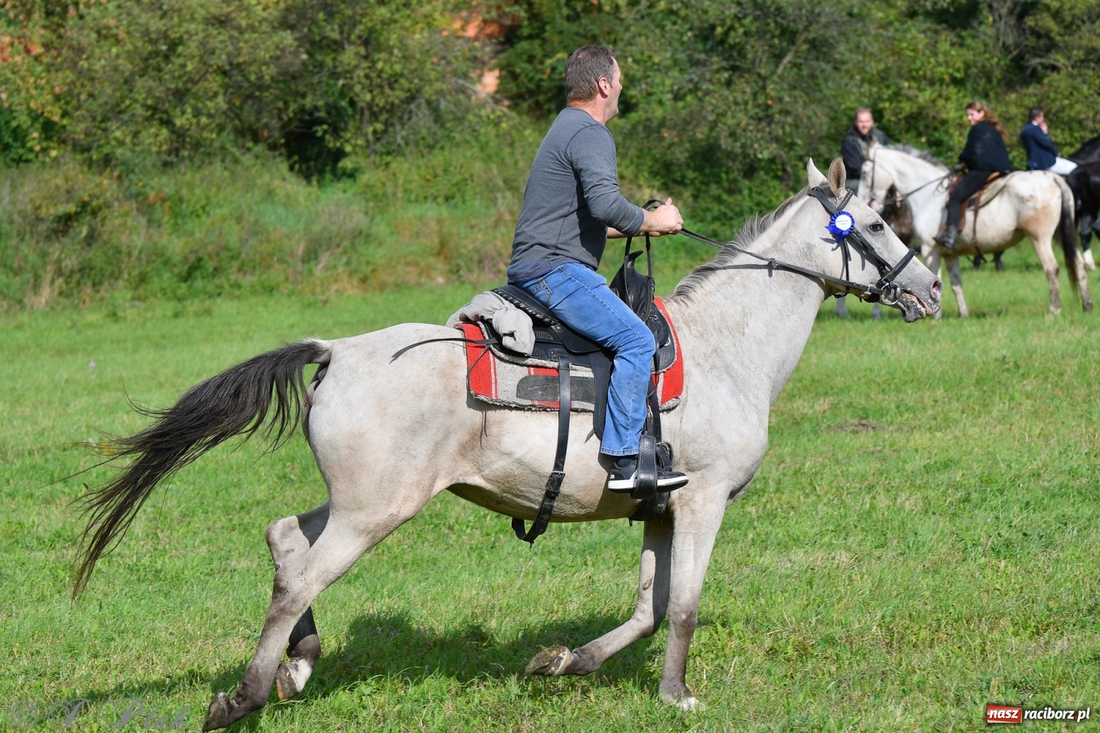 Zdjęcie w galerii na portalu naszraciborz.pl: Raciborski Hubertus 2021. Parada przez Ostróg i dwie gonitwy za lisem [FOTO i WIDEO] wiadomości z regionu