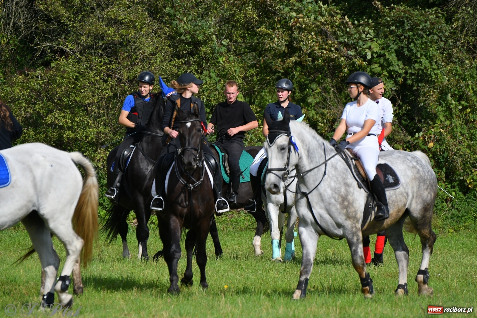 Zdjęcie w galerii na portalu naszraciborz.pl: Raciborski Hubertus 2021. Parada przez Ostróg i dwie gonitwy za lisem [FOTO i WIDEO] wiadomości z regionu