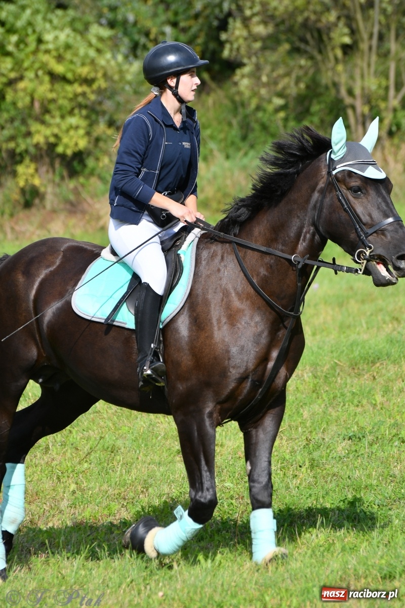 Zdjęcie w galerii na portalu naszraciborz.pl: Raciborski Hubertus 2021. Parada przez Ostróg i dwie gonitwy za lisem [FOTO i WIDEO] wiadomości z regionu