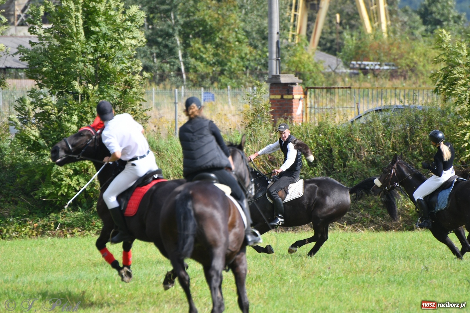 Zdjęcie w galerii na portalu naszraciborz.pl: Raciborski Hubertus 2021. Parada przez Ostróg i dwie gonitwy za lisem [FOTO i WIDEO] wiadomości z regionu
