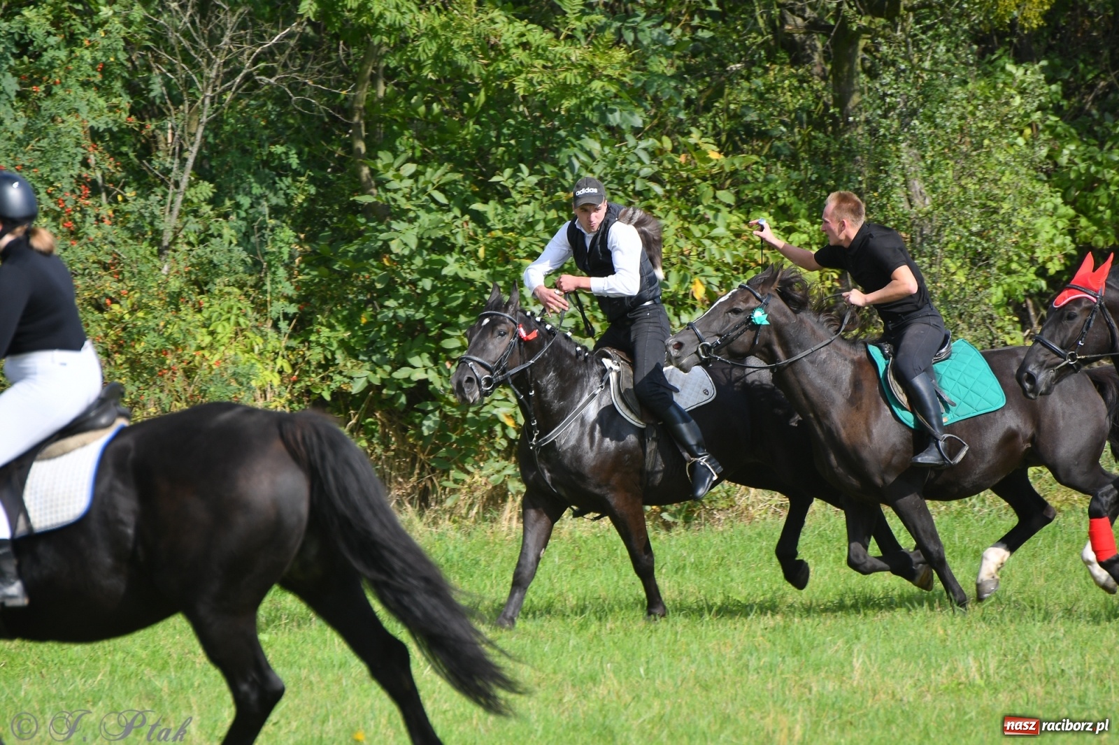 Zdjęcie w galerii na portalu naszraciborz.pl: Raciborski Hubertus 2021. Parada przez Ostróg i dwie gonitwy za lisem [FOTO i WIDEO] wiadomości z regionu