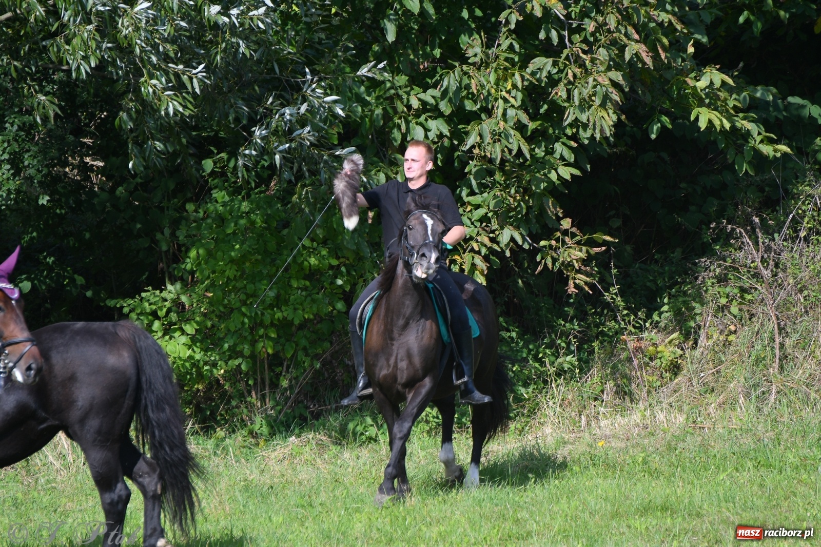 Zdjęcie w galerii na portalu naszraciborz.pl: Raciborski Hubertus 2021. Parada przez Ostróg i dwie gonitwy za lisem [FOTO i WIDEO] wiadomości z regionu