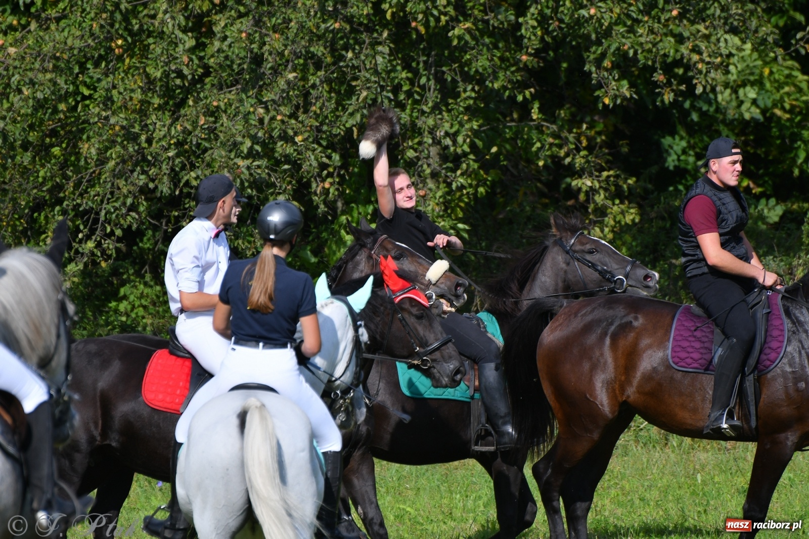 Zdjęcie w galerii na portalu naszraciborz.pl: Raciborski Hubertus 2021. Parada przez Ostróg i dwie gonitwy za lisem [FOTO i WIDEO] wiadomości z regionu