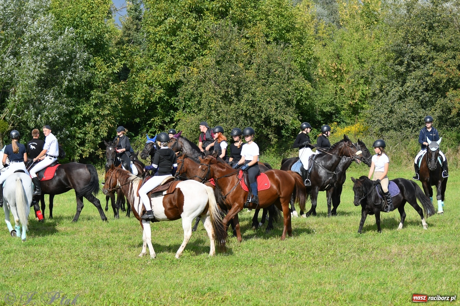 Zdjęcie w galerii na portalu naszraciborz.pl: Raciborski Hubertus 2021. Parada przez Ostróg i dwie gonitwy za lisem [FOTO i WIDEO] wiadomości z regionu