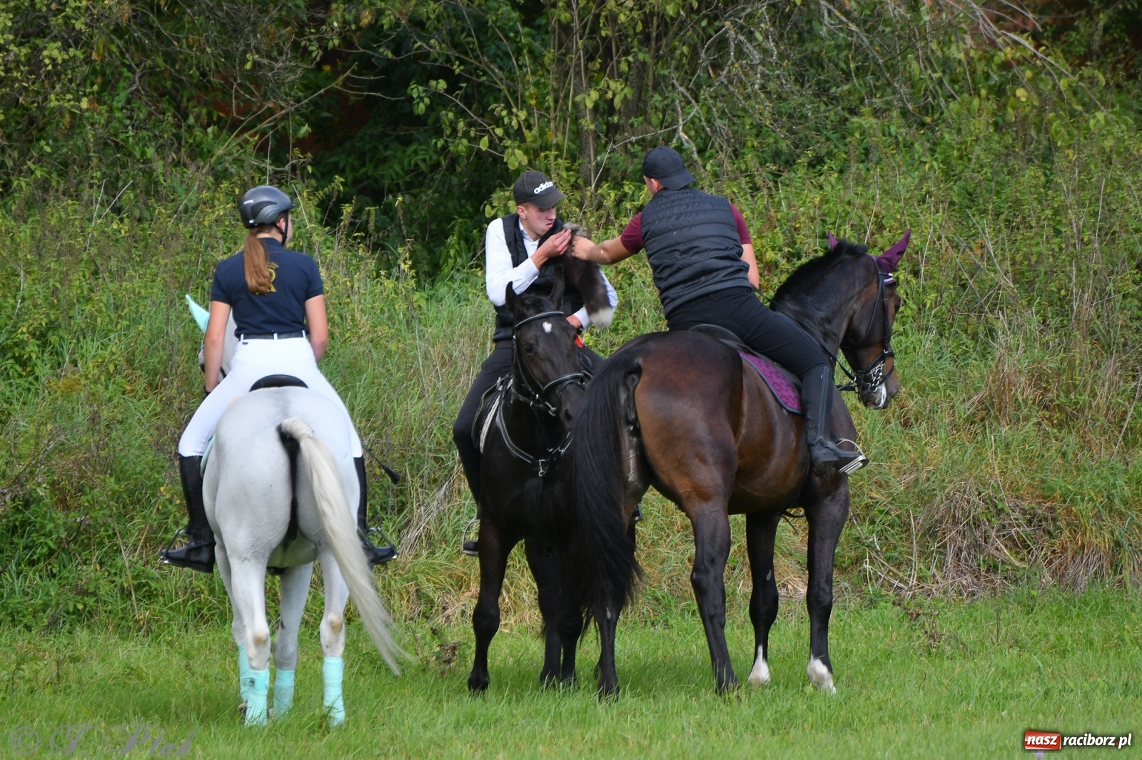Zdjęcie w galerii na portalu naszraciborz.pl: Raciborski Hubertus 2021. Parada przez Ostróg i dwie gonitwy za lisem [FOTO i WIDEO] wiadomości z regionu