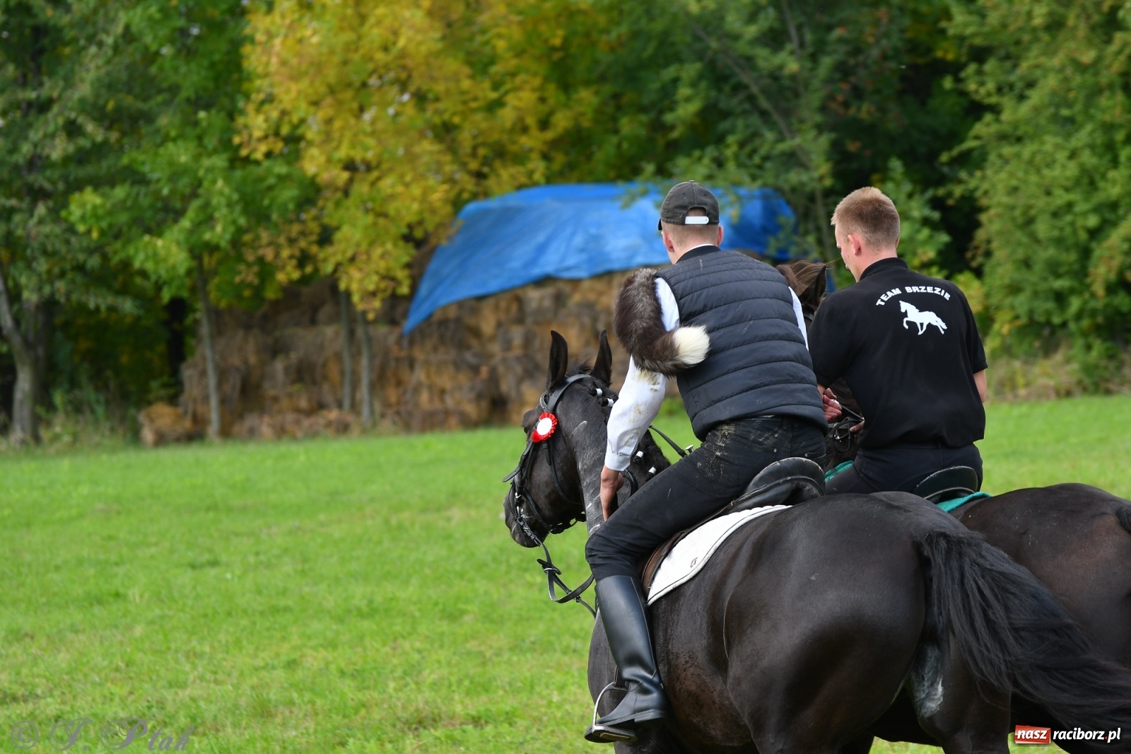 Zdjęcie w galerii na portalu naszraciborz.pl: Raciborski Hubertus 2021. Parada przez Ostróg i dwie gonitwy za lisem [FOTO i WIDEO] wiadomości z regionu
