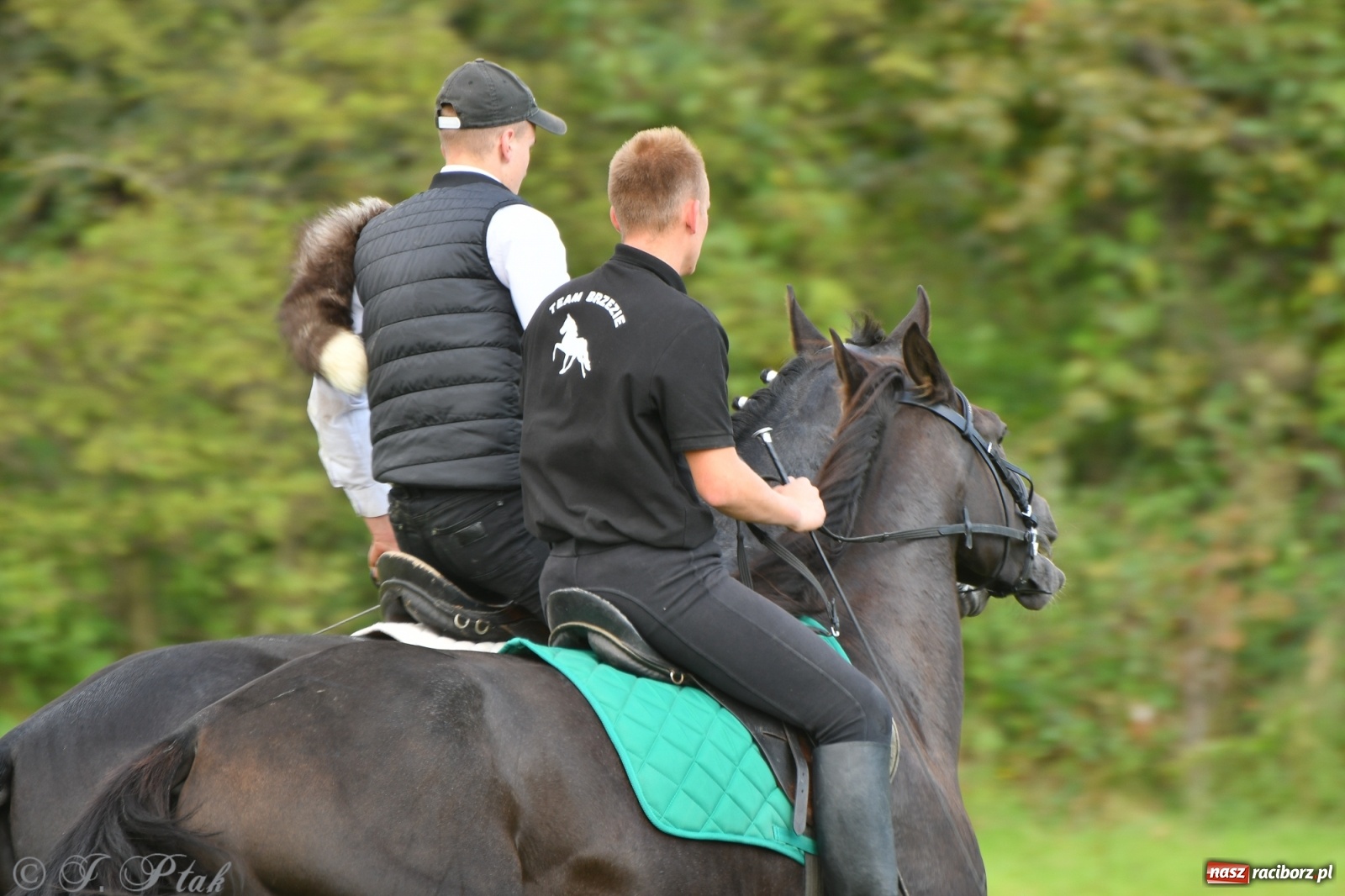 Zdjęcie w galerii na portalu naszraciborz.pl: Raciborski Hubertus 2021. Parada przez Ostróg i dwie gonitwy za lisem [FOTO i WIDEO] wiadomości z regionu
