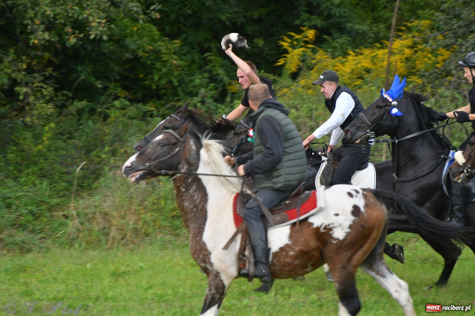 Zdjęcie w galerii na portalu naszraciborz.pl: Raciborski Hubertus 2021. Parada przez Ostróg i dwie gonitwy za lisem [FOTO i WIDEO] wiadomości z regionu