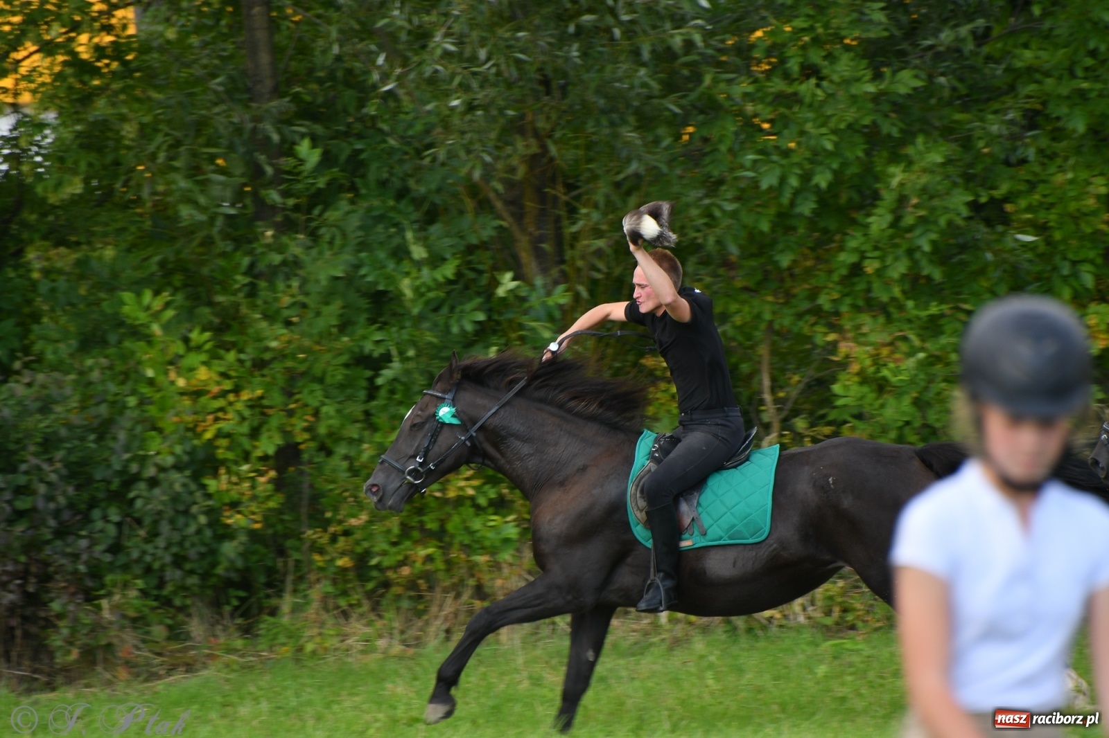 Zdjęcie w galerii na portalu naszraciborz.pl: Raciborski Hubertus 2021. Parada przez Ostróg i dwie gonitwy za lisem [FOTO i WIDEO] wiadomości z regionu