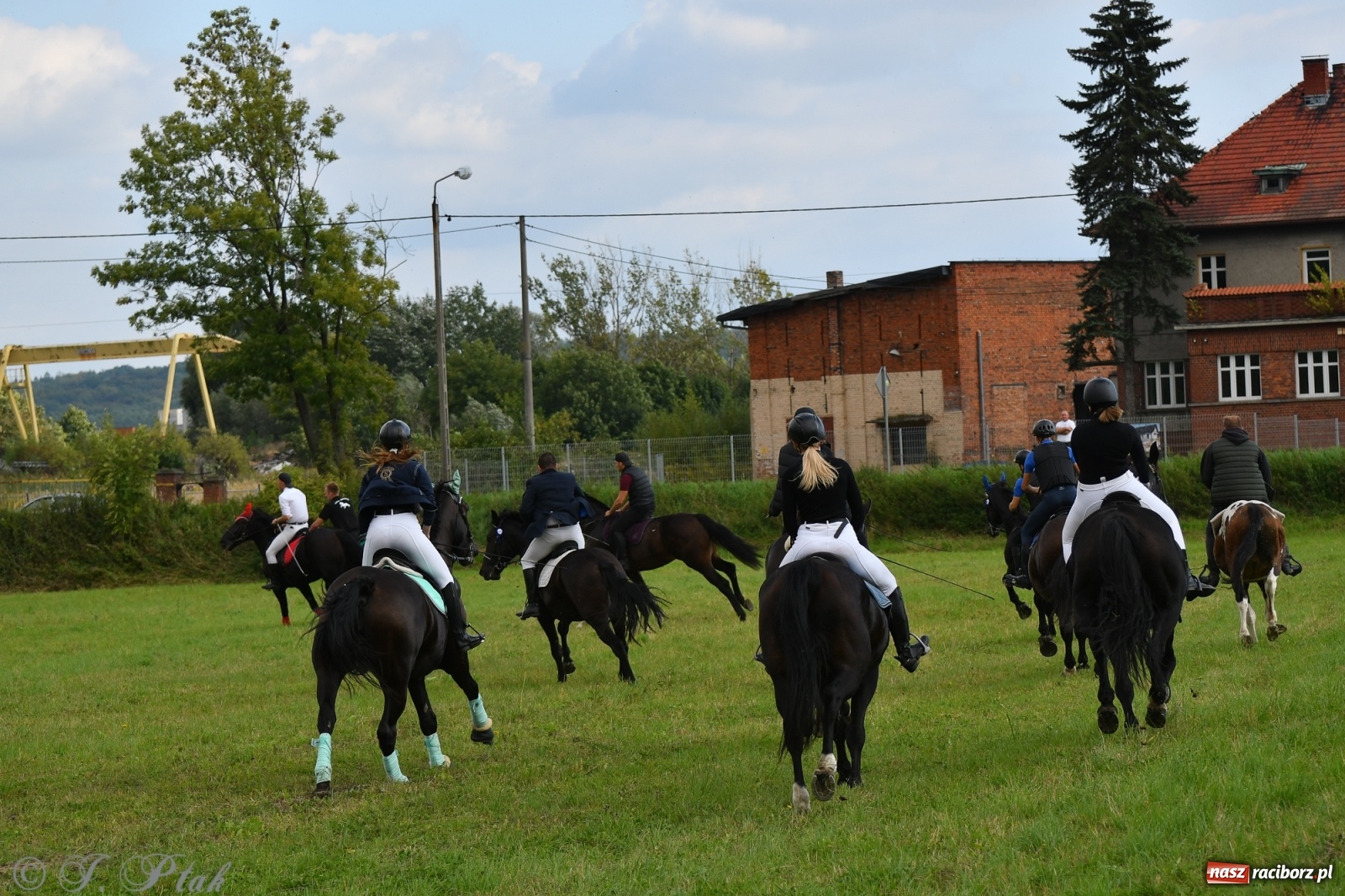 Zdjęcie w galerii na portalu naszraciborz.pl: Raciborski Hubertus 2021. Parada przez Ostróg i dwie gonitwy za lisem [FOTO i WIDEO] wiadomości z regionu