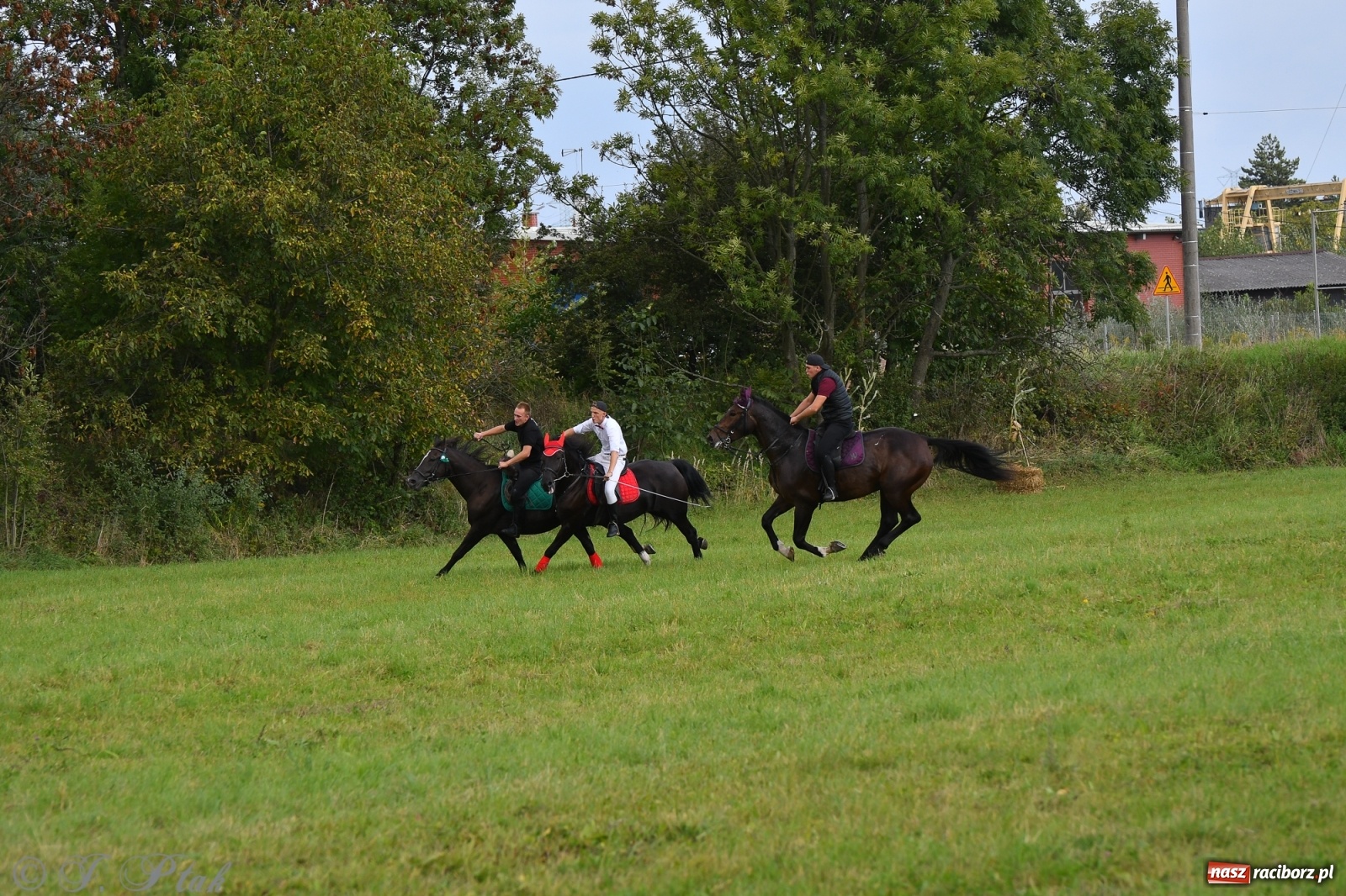 Zdjęcie w galerii na portalu naszraciborz.pl: Raciborski Hubertus 2021. Parada przez Ostróg i dwie gonitwy za lisem [FOTO i WIDEO] wiadomości z regionu
