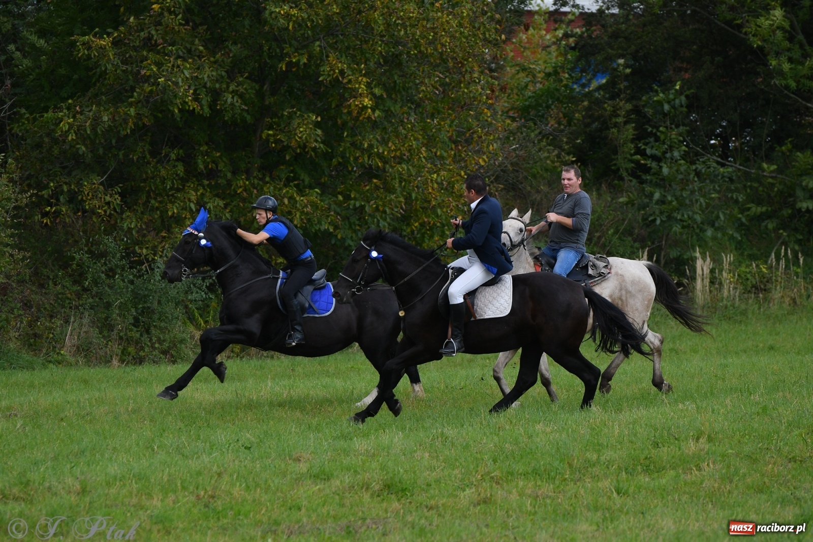 Zdjęcie w galerii na portalu naszraciborz.pl: Raciborski Hubertus 2021. Parada przez Ostróg i dwie gonitwy za lisem [FOTO i WIDEO] wiadomości z regionu