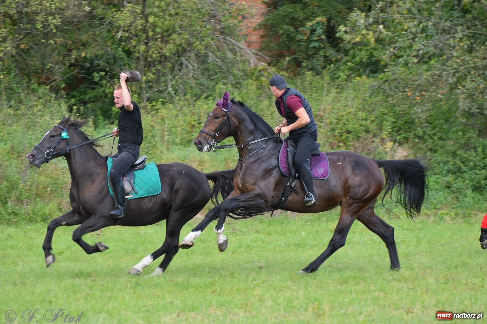 Zdjęcie w galerii na portalu naszraciborz.pl: Raciborski Hubertus 2021. Parada przez Ostróg i dwie gonitwy za lisem [FOTO i WIDEO] wiadomości z regionu