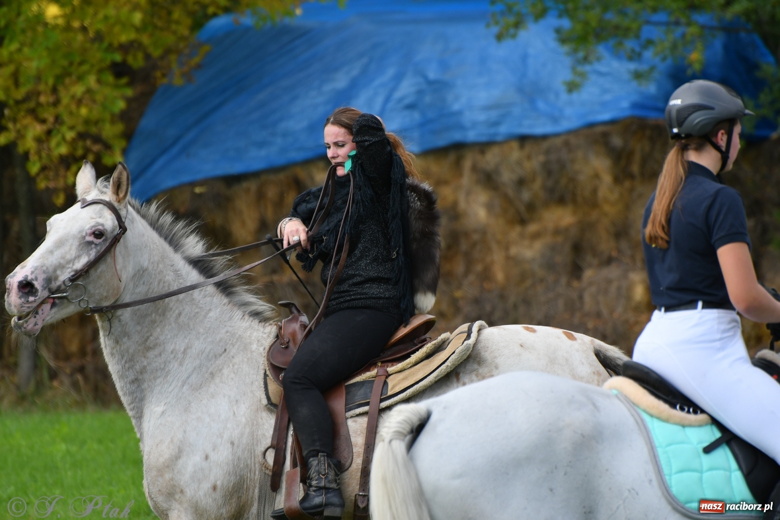 Zdjęcie w galerii na portalu naszraciborz.pl: Raciborski Hubertus 2021. Parada przez Ostróg i dwie gonitwy za lisem [FOTO i WIDEO] wiadomości z regionu