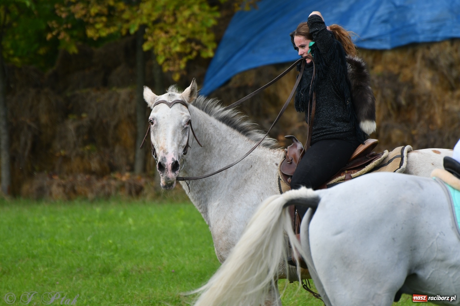 Zdjęcie w galerii na portalu naszraciborz.pl: Raciborski Hubertus 2021. Parada przez Ostróg i dwie gonitwy za lisem [FOTO i WIDEO] wiadomości z regionu