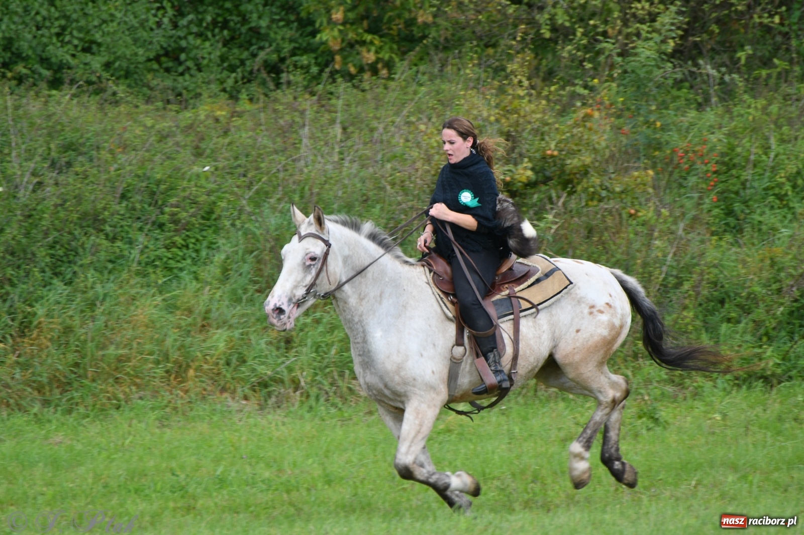 Zdjęcie w galerii na portalu naszraciborz.pl: Raciborski Hubertus 2021. Parada przez Ostróg i dwie gonitwy za lisem [FOTO i WIDEO] wiadomości z regionu