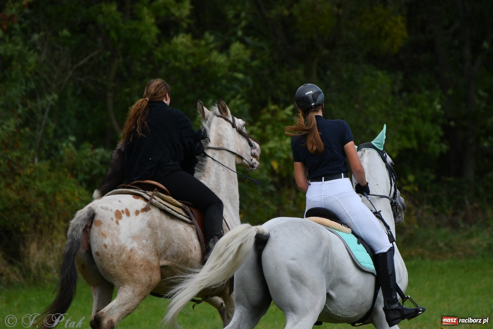 Zdjęcie w galerii na portalu naszraciborz.pl: Raciborski Hubertus 2021. Parada przez Ostróg i dwie gonitwy za lisem [FOTO i WIDEO] wiadomości z regionu