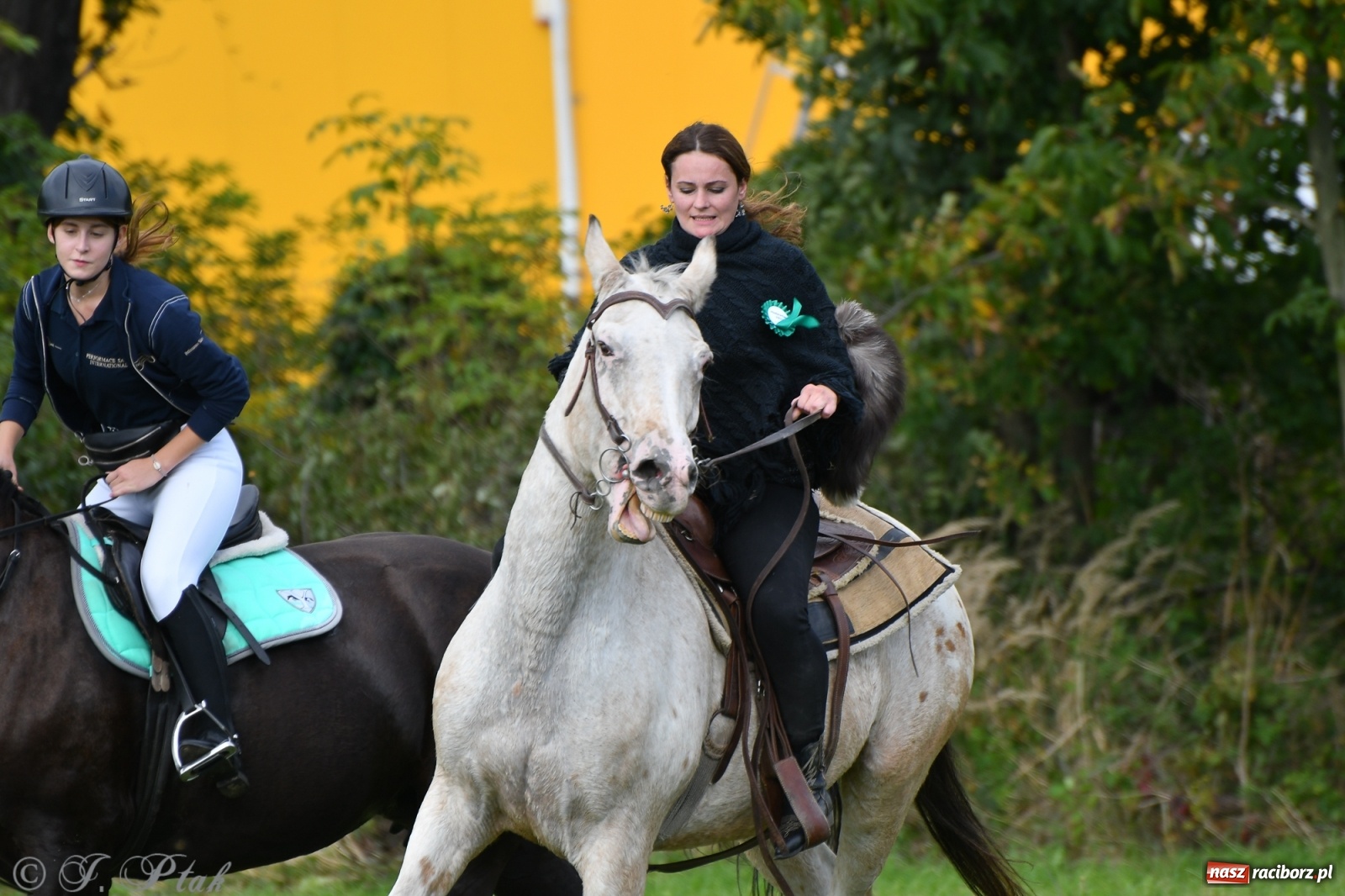 Zdjęcie w galerii na portalu naszraciborz.pl: Raciborski Hubertus 2021. Parada przez Ostróg i dwie gonitwy za lisem [FOTO i WIDEO] wiadomości z regionu