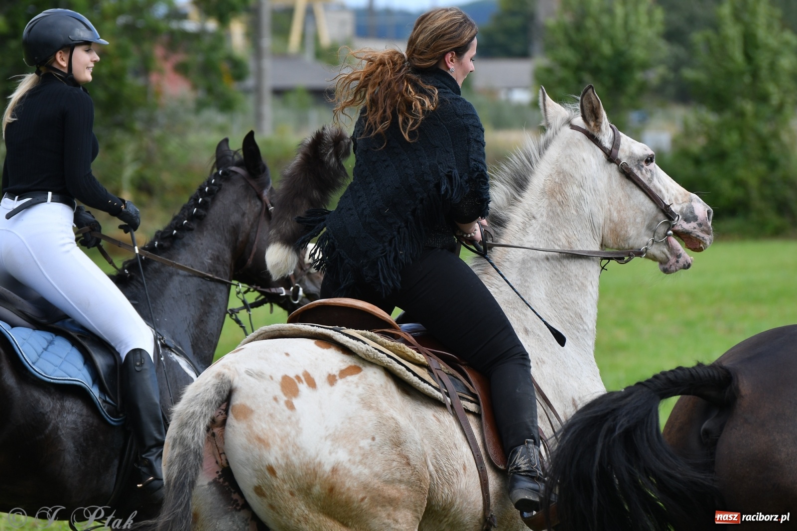 Zdjęcie w galerii na portalu naszraciborz.pl: Raciborski Hubertus 2021. Parada przez Ostróg i dwie gonitwy za lisem [FOTO i WIDEO] wiadomości z regionu