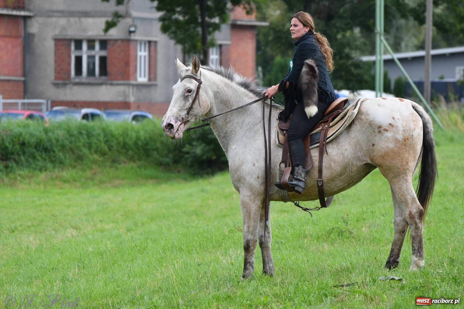 Zdjęcie w galerii na portalu naszraciborz.pl: Raciborski Hubertus 2021. Parada przez Ostróg i dwie gonitwy za lisem [FOTO i WIDEO] wiadomości z regionu
