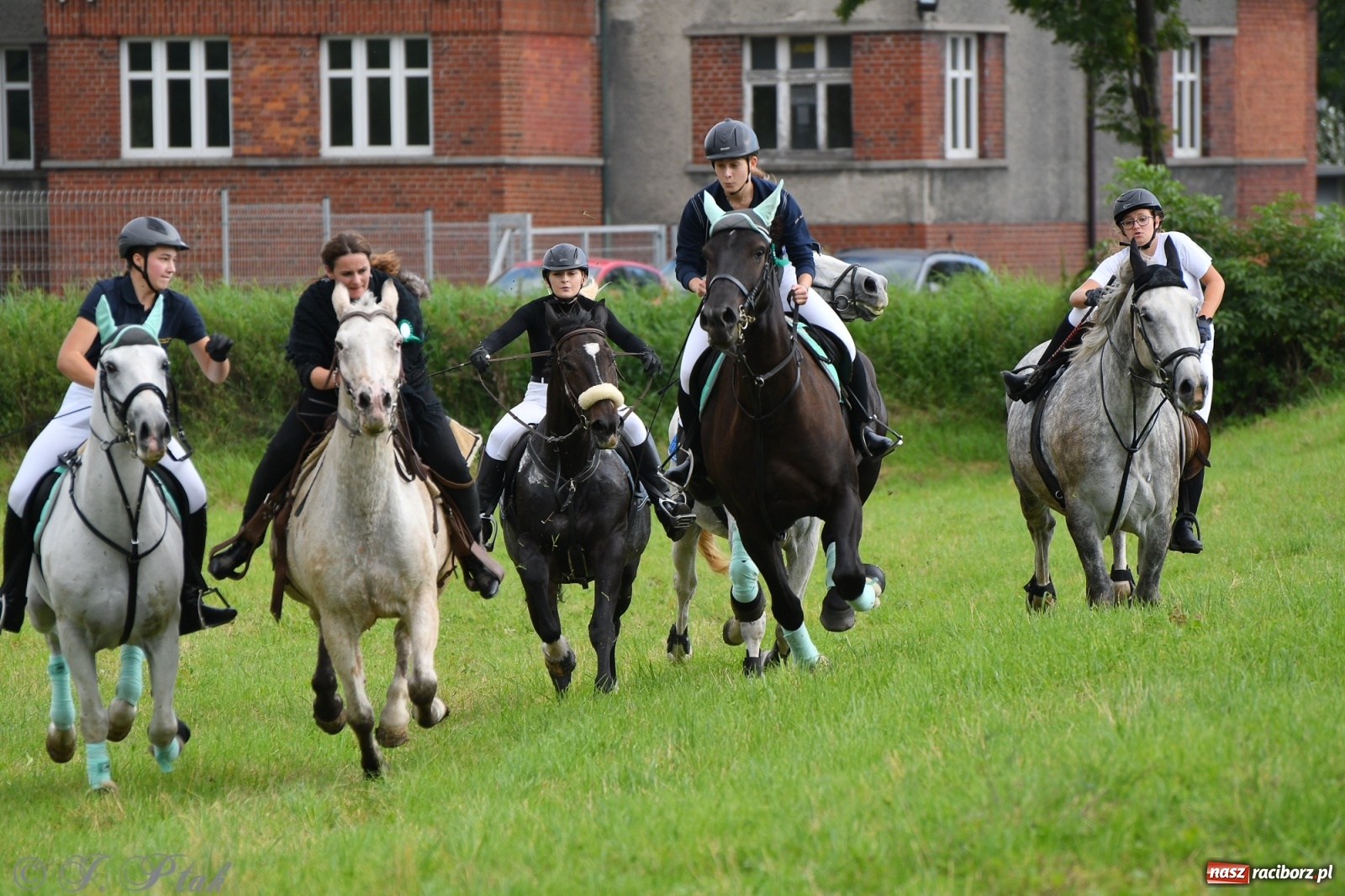 Zdjęcie w galerii na portalu naszraciborz.pl: Raciborski Hubertus 2021. Parada przez Ostróg i dwie gonitwy za lisem [FOTO i WIDEO] wiadomości z regionu