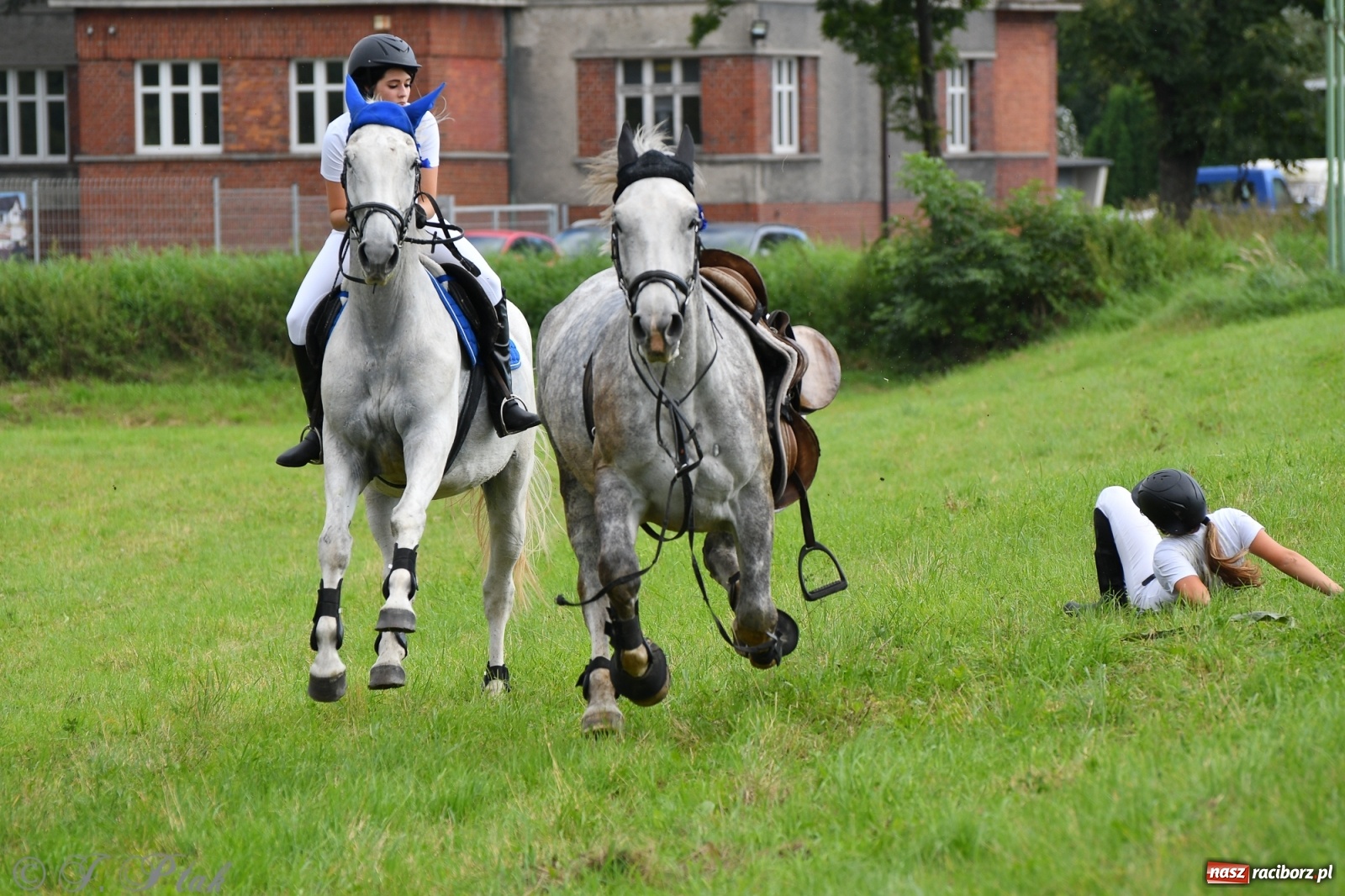 Zdjęcie w galerii na portalu naszraciborz.pl: Raciborski Hubertus 2021. Parada przez Ostróg i dwie gonitwy za lisem [FOTO i WIDEO] wiadomości z regionu
