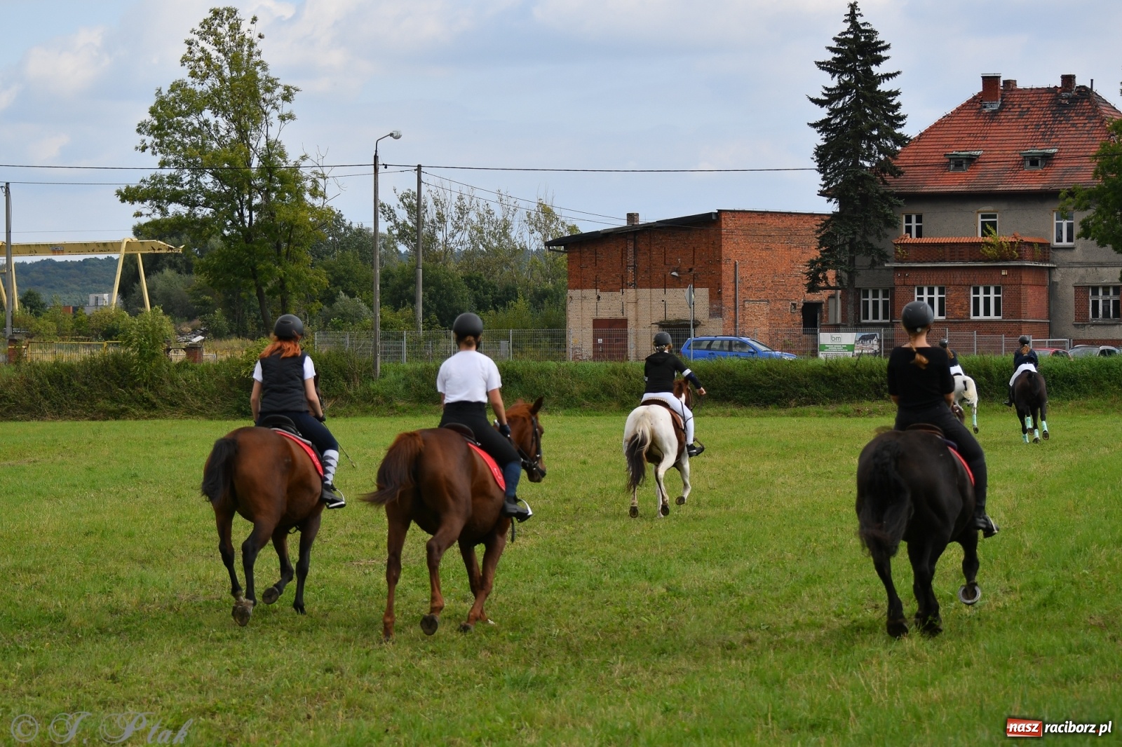 Zdjęcie w galerii na portalu naszraciborz.pl: Raciborski Hubertus 2021. Parada przez Ostróg i dwie gonitwy za lisem [FOTO i WIDEO] wiadomości z regionu