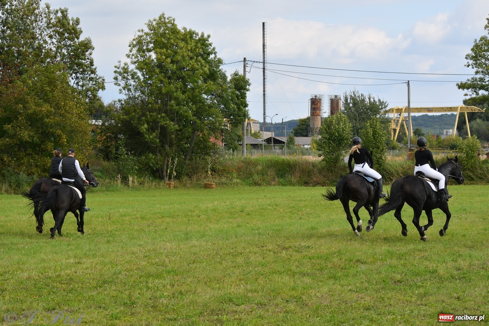 Zdjęcie w galerii na portalu naszraciborz.pl: Raciborski Hubertus 2021. Parada przez Ostróg i dwie gonitwy za lisem [FOTO i WIDEO] wiadomości z regionu