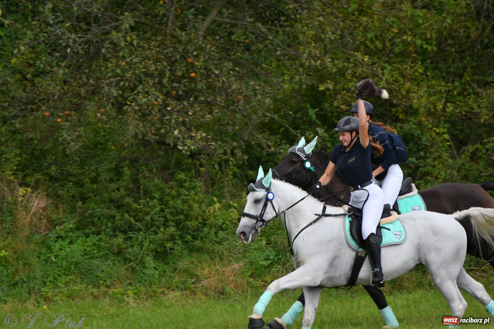 Zdjęcie w galerii na portalu naszraciborz.pl: Raciborski Hubertus 2021. Parada przez Ostróg i dwie gonitwy za lisem [FOTO i WIDEO] wiadomości z regionu