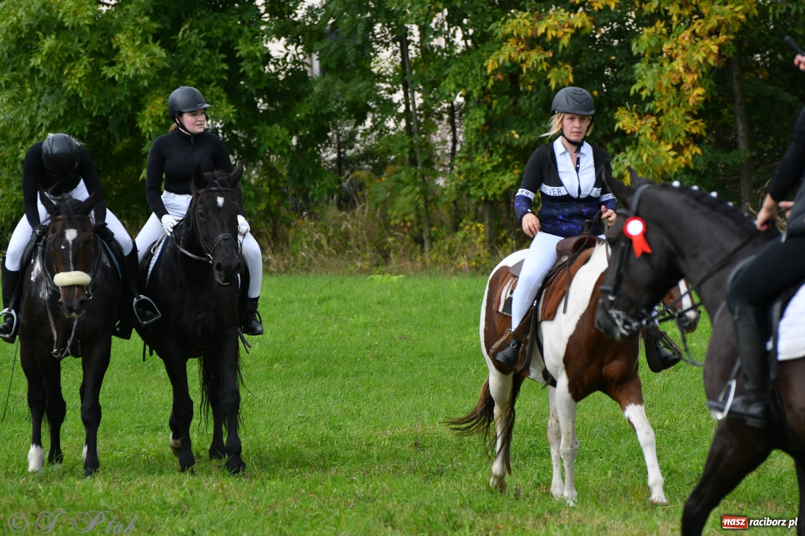 Zdjęcie w galerii na portalu naszraciborz.pl: Raciborski Hubertus 2021. Parada przez Ostróg i dwie gonitwy za lisem [FOTO i WIDEO] wiadomości z regionu