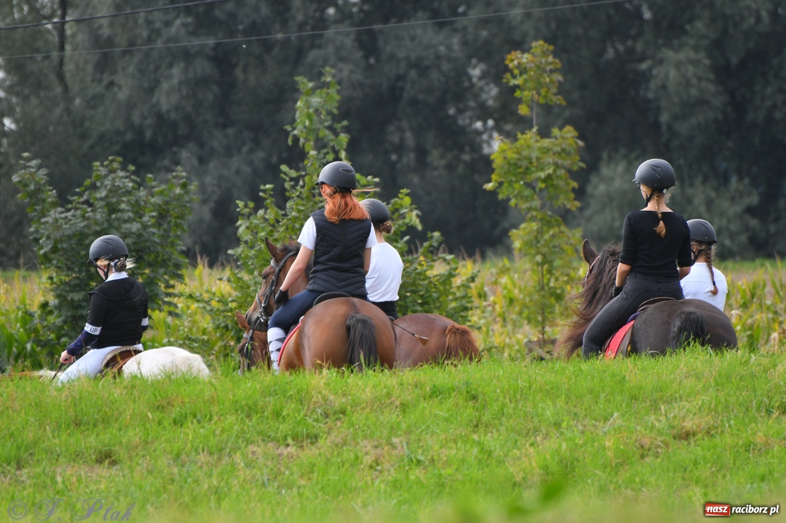 Zdjęcie w galerii na portalu naszraciborz.pl: Raciborski Hubertus 2021. Parada przez Ostróg i dwie gonitwy za lisem [FOTO i WIDEO] wiadomości z regionu