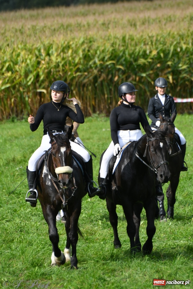 Zdjęcie w galerii na portalu naszraciborz.pl: Raciborski Hubertus 2021. Parada przez Ostróg i dwie gonitwy za lisem [FOTO i WIDEO] wiadomości z regionu